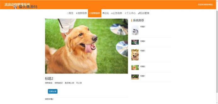 基于springboot+vue的流浪动物管理系统(含参考论文)